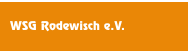 WSG Rodewisch e.V.